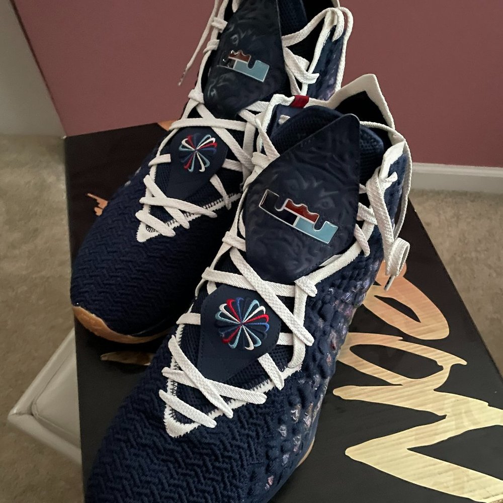 Nike Lebron XVII (17) DT